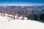 Shimla – Kufri Excursion and Local Sightseeing