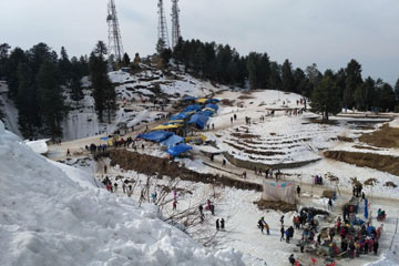 Shimla – Kufri Excursion and Local Sightseeing