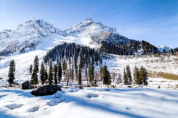 Srinagar to Sonmarg - Srinagar